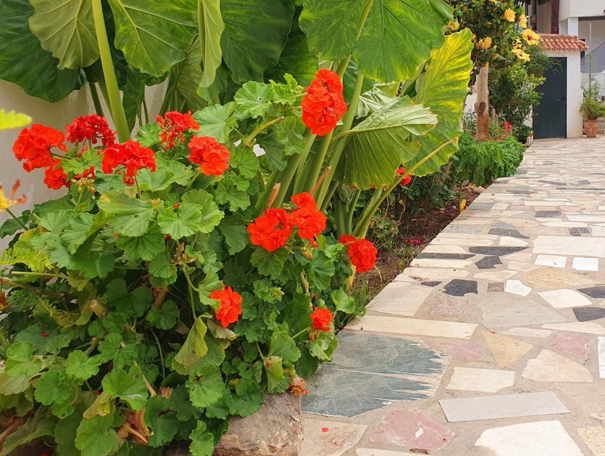 Hospedagem domiciliar Casitas *